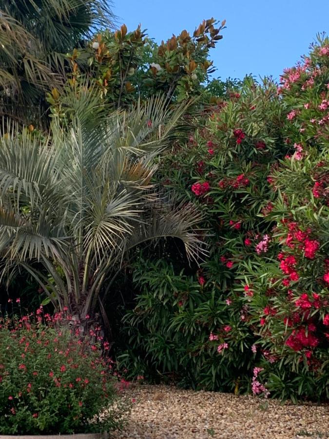 La Dolce Vita Occitane Conilhac-Corbières Extérieur photo